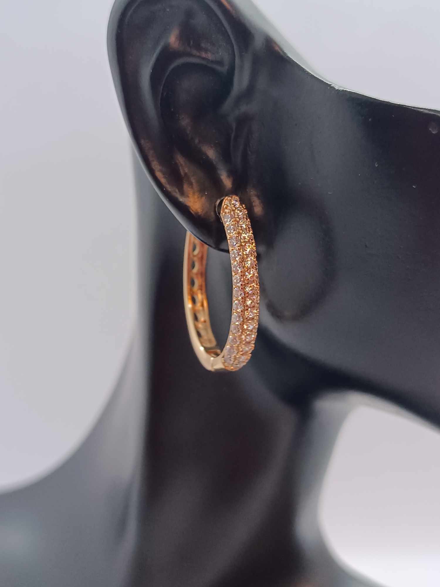 387550644_2041588896208811_8163063075676137887_n